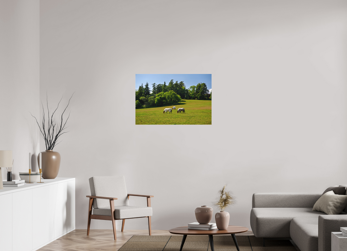 36 x 24″, Matte Acrylic Glass without frame Horses near Powerscourt Gardens under acrylic glass