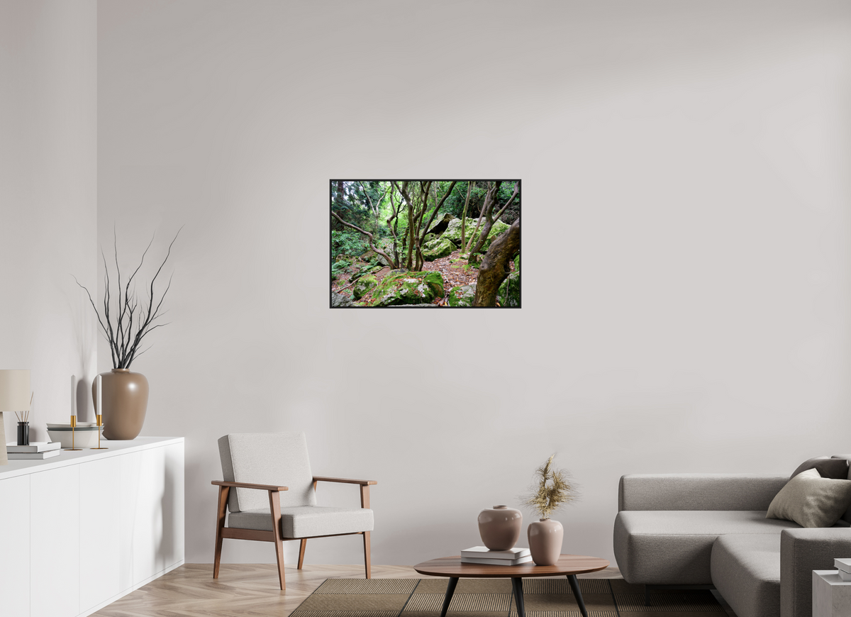36 x 24″, Acrylic Glass Black matt .24" frame Enchanted forest near Howth under acrylic glass with black frame