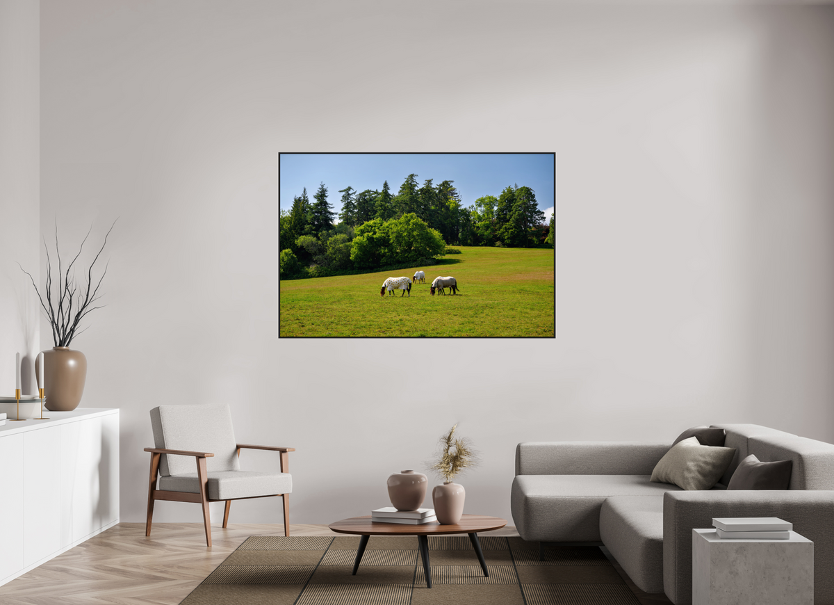 66 x 44″, Acrylic Glass Black matt .24" frame Horses near Powerscourt Gardens under acrylic glass with black frame