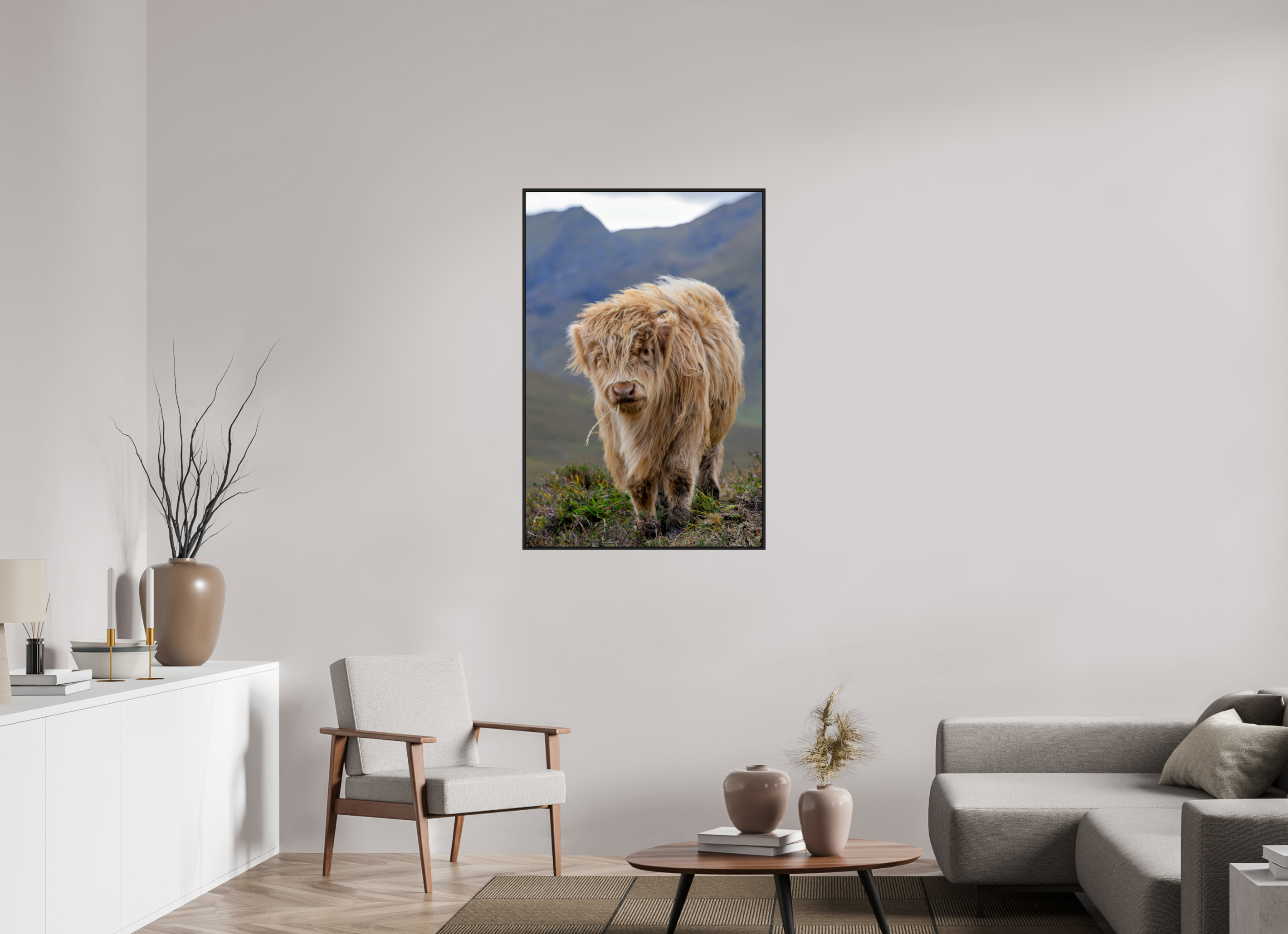 30 x 45″, Acrylic Glass Black Matt .24" frame Scottish Highland "Coo" under acrylic glass with black frame
