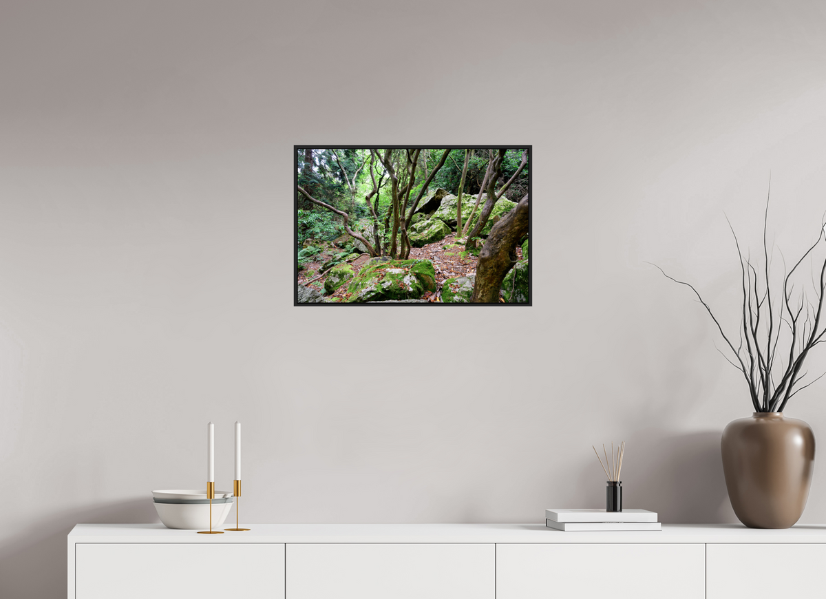 24 x 16″, Acrylic Glass Black matt .24" frame Enchanted forest near Howth under acrylic glass with black frame
