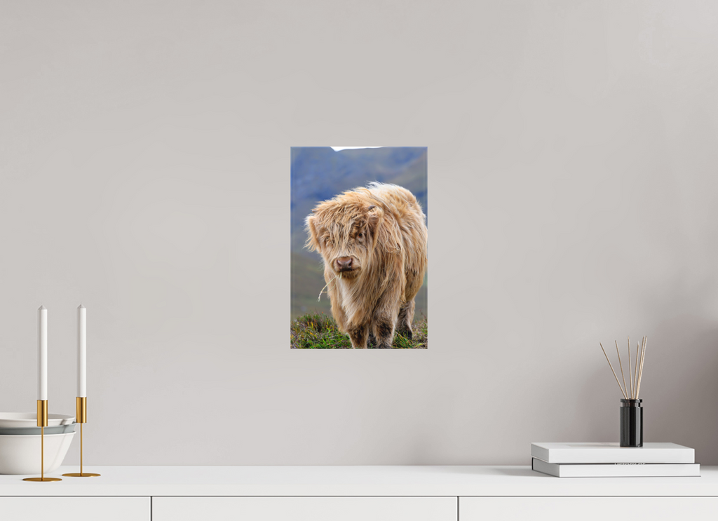 8 x 12″, Matte Canvas with wrapped edges - no frame Scottish Highland "Coo" on Canvas