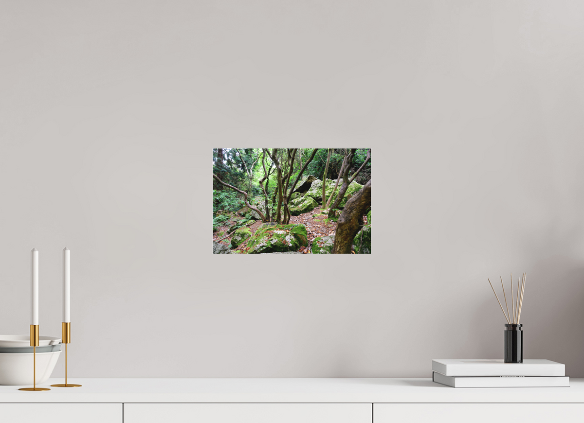 12 x 8″, Matte Acrylic Glass without frame Enchanted forest near Howth under acrylic glass