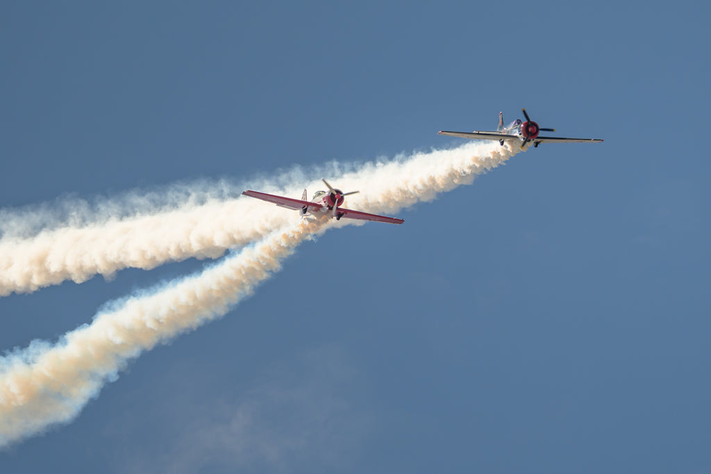 Yak 50 - Photo 1 - on canvas