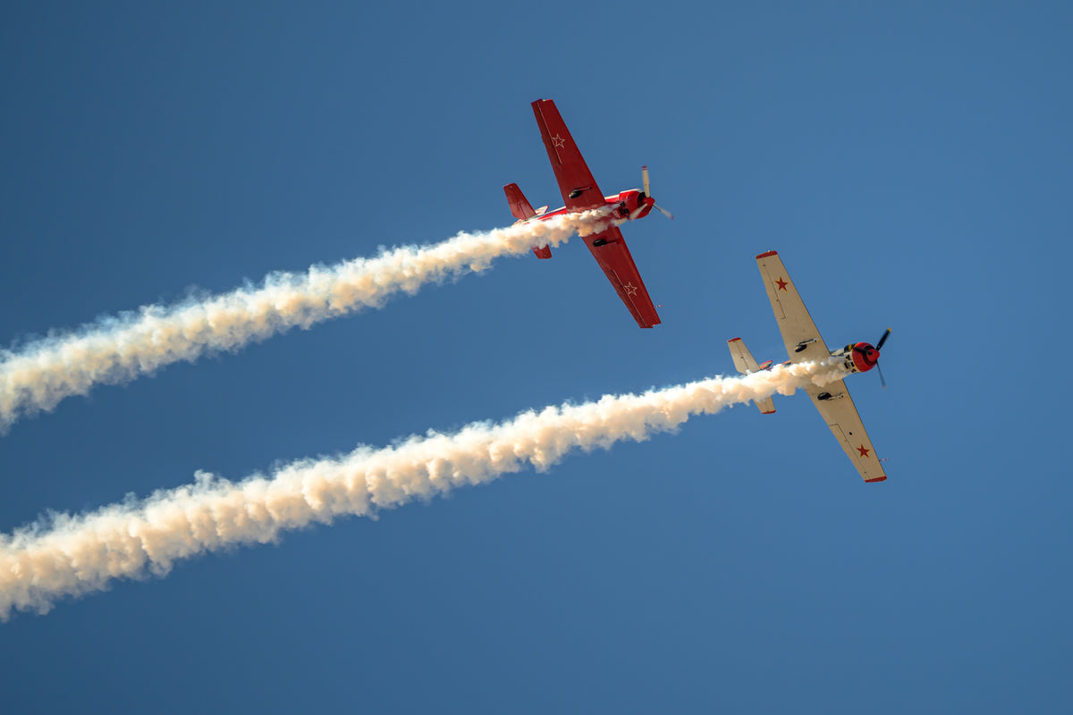 Yak 50 - Photo 2 - under acrylic glass