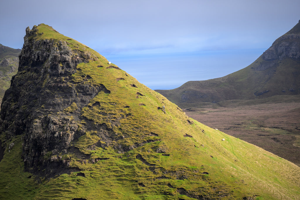 Sheep grazing near the Quiraing on canvas