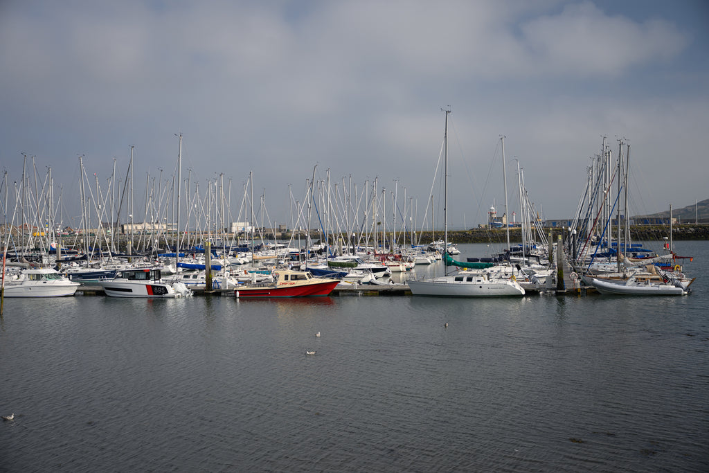 Sailing vessels in Howth Harbour on canvas