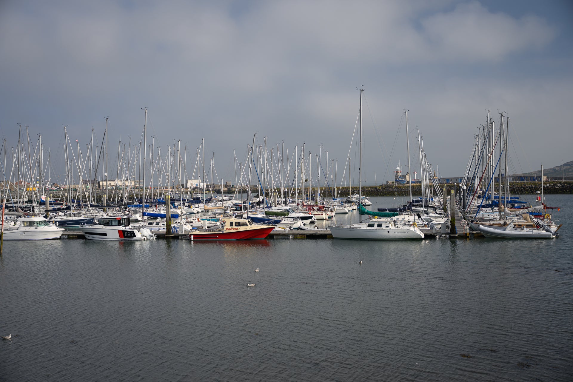 Sailing vessels in Howth Harbour on canvas