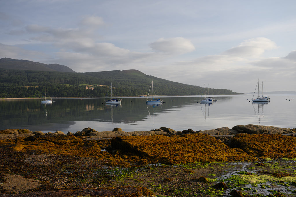Brodick Bay at sunrise on canvas