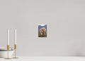 4 x 6″, Matte Acrylic Glass without frame Scottish Highland "Coo" on Matte Acrylic Glass without frame