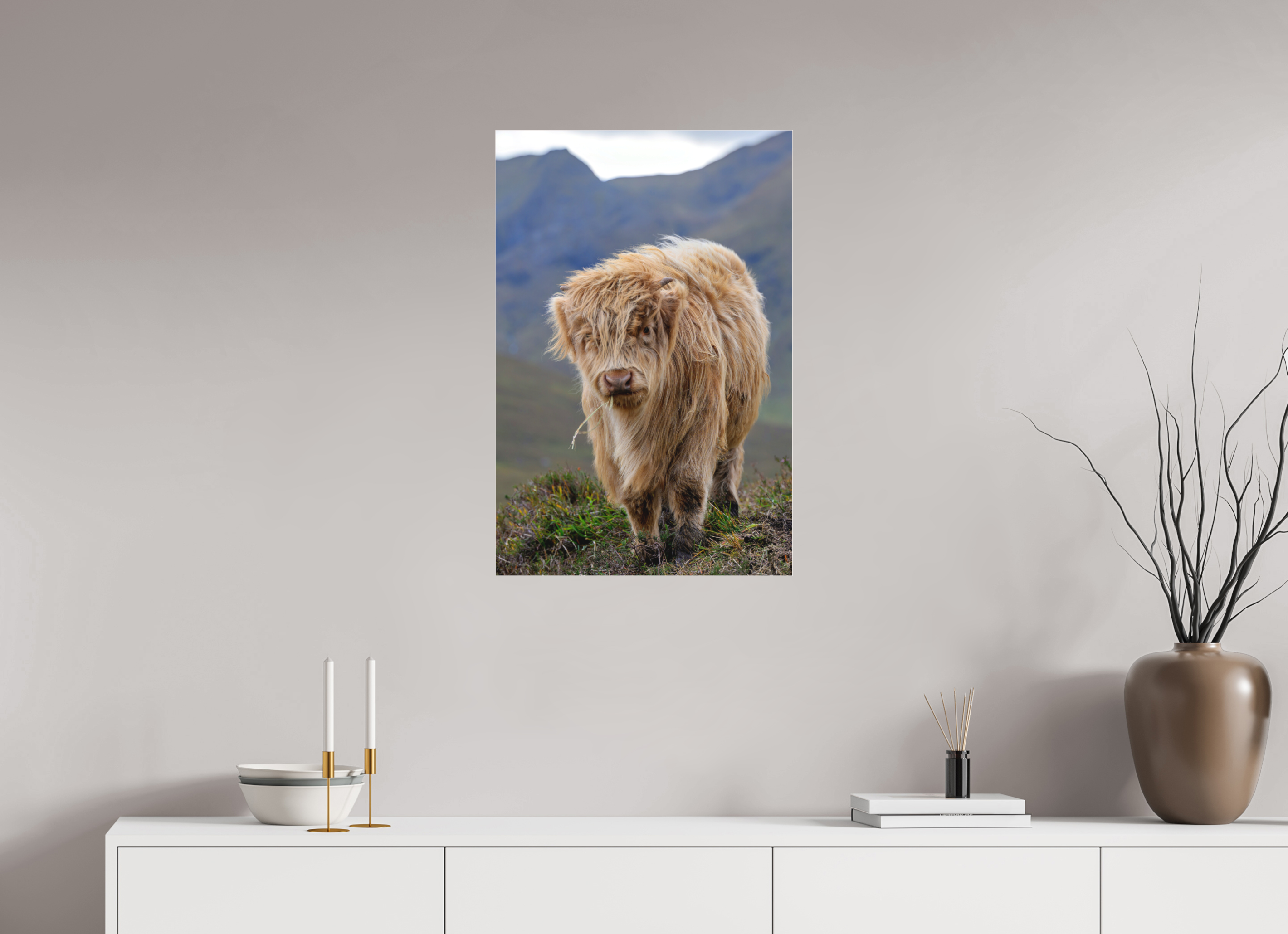 20 x 30″, Matte Acrylic Glass without frame Scottish Highland "Coo" on Matte Acrylic Glass without frame