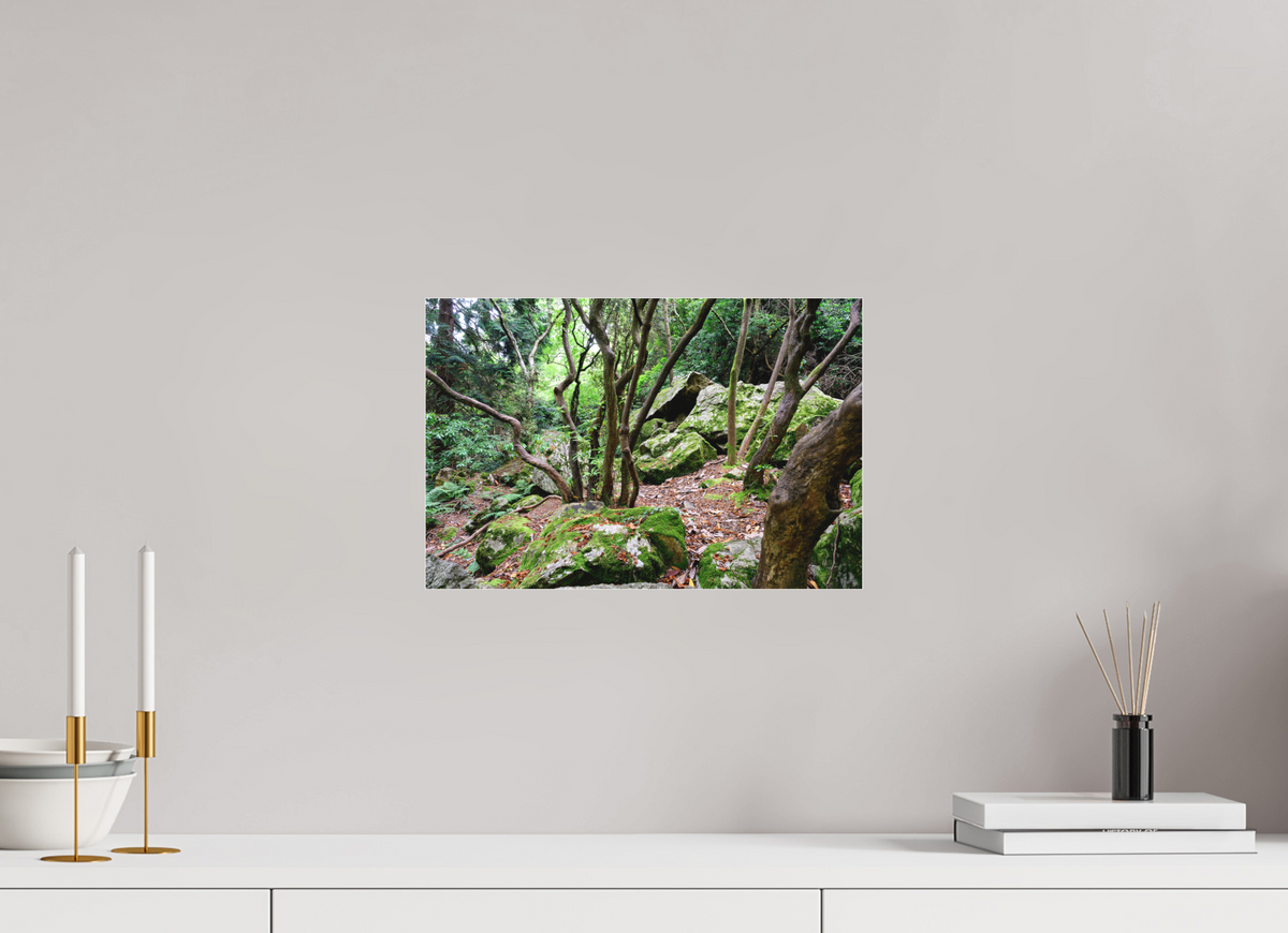 15 x 10″, Matte Acrylic Glass without frame Enchanted forest near Howth under acrylic glass