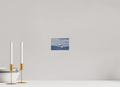 6 x 4″, Matte Acrylic Glass without frame Yak 50 - Photo 6 - under acrylic glass