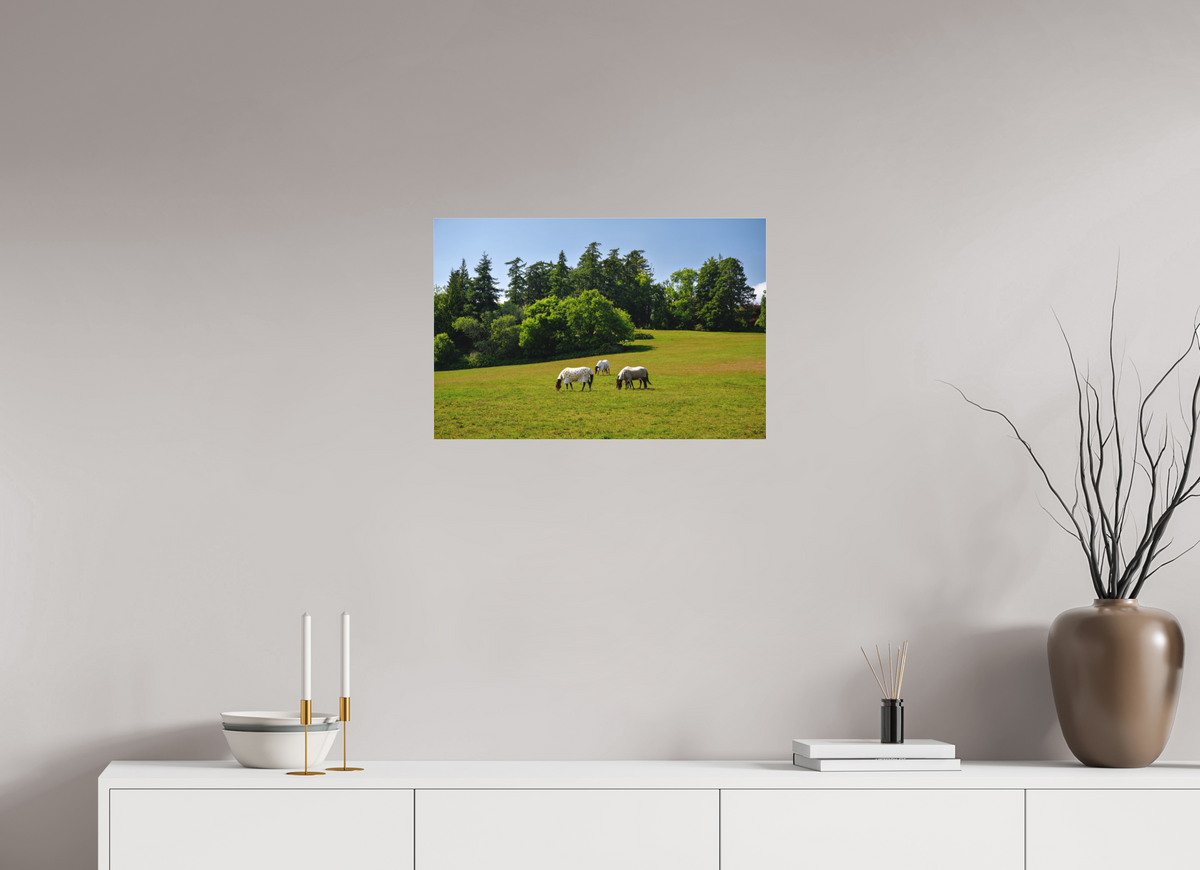 24 x 16″, Matte Acrylic Glass without frame Horses near Powerscourt Gardens under acrylic glass