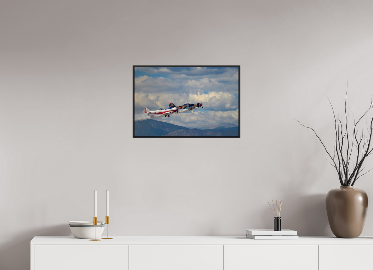 24 x 16″, Acrylic Glass Black matt .24" frame Yak 50 - Photo 5 - under acrylic glass with black frame
