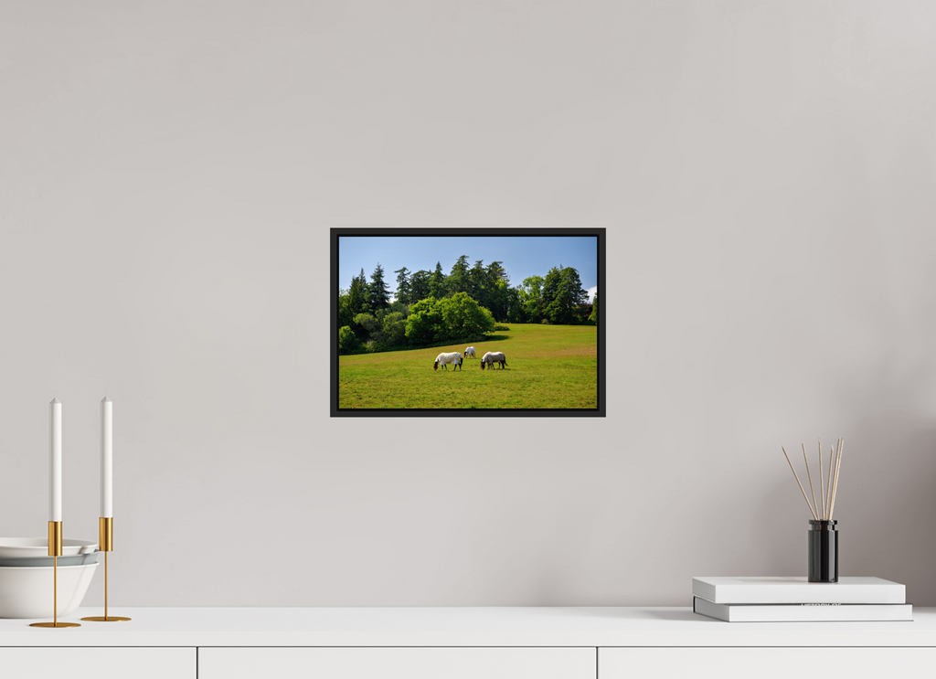12 x 8″, Acrylic Glass Black matt .24" frame Horses near Powerscourt Gardens under acrylic glass with black frame