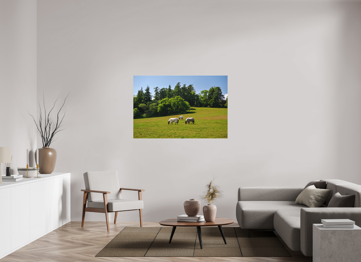54 x 36″, Matte Acrylic Glass without frame Horses near Powerscourt Gardens under acrylic glass
