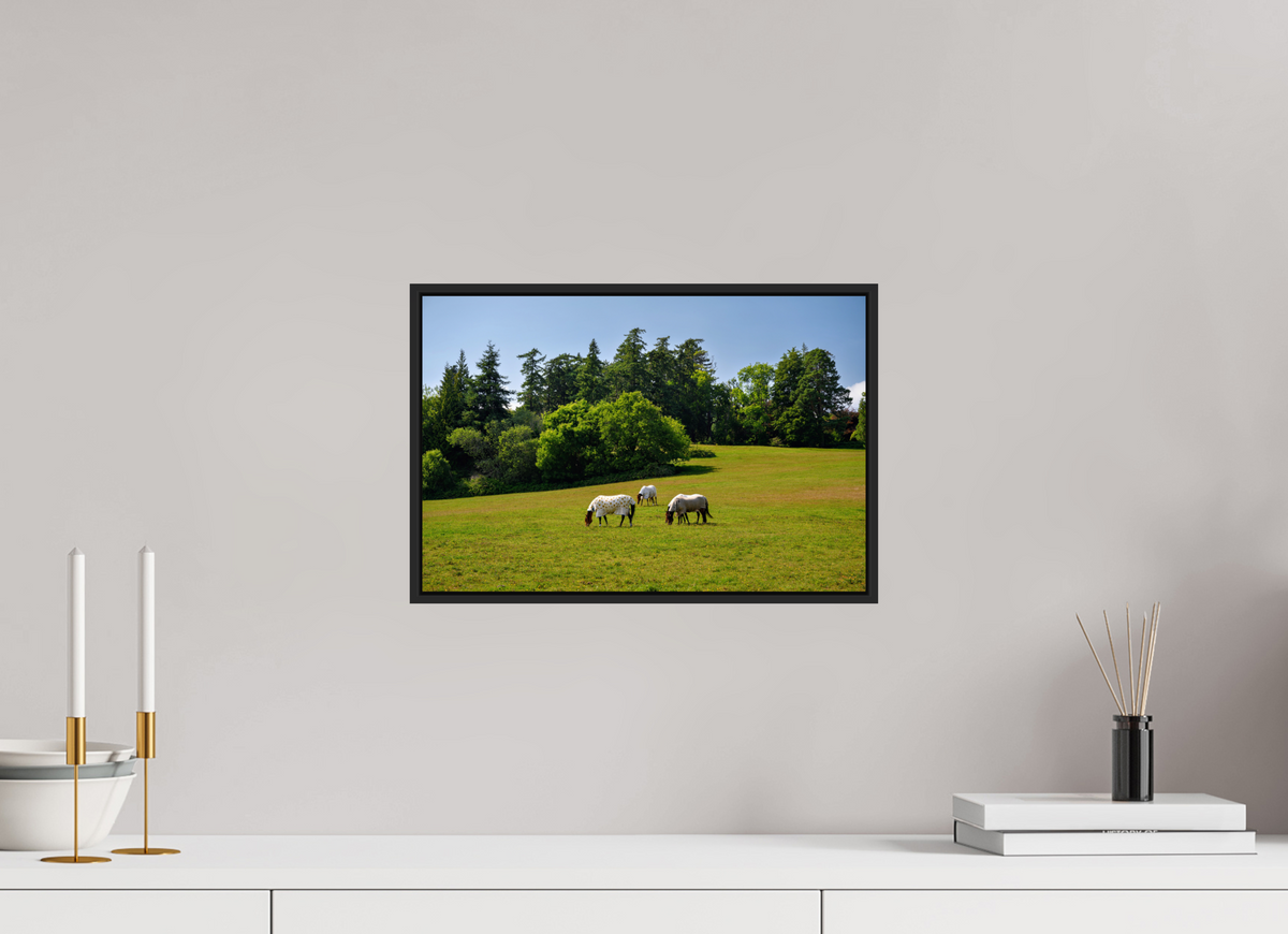 15 x 10″, Acrylic Glass Black matt .24" frame Horses near Powerscourt Gardens under acrylic glass with black frame