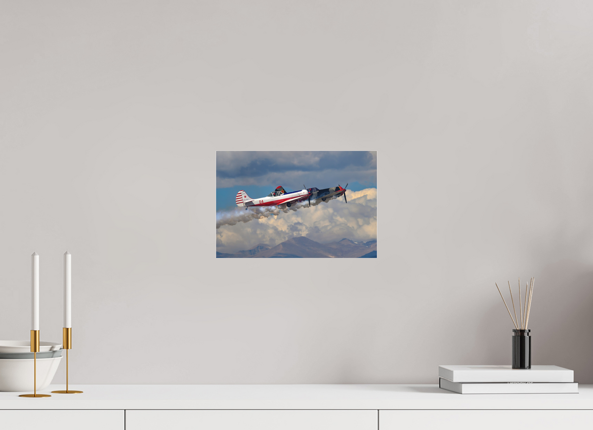 12 x 8″, Matte Acrylic Glass without frame Yak 50 - Photo 3 - under acrylic glass