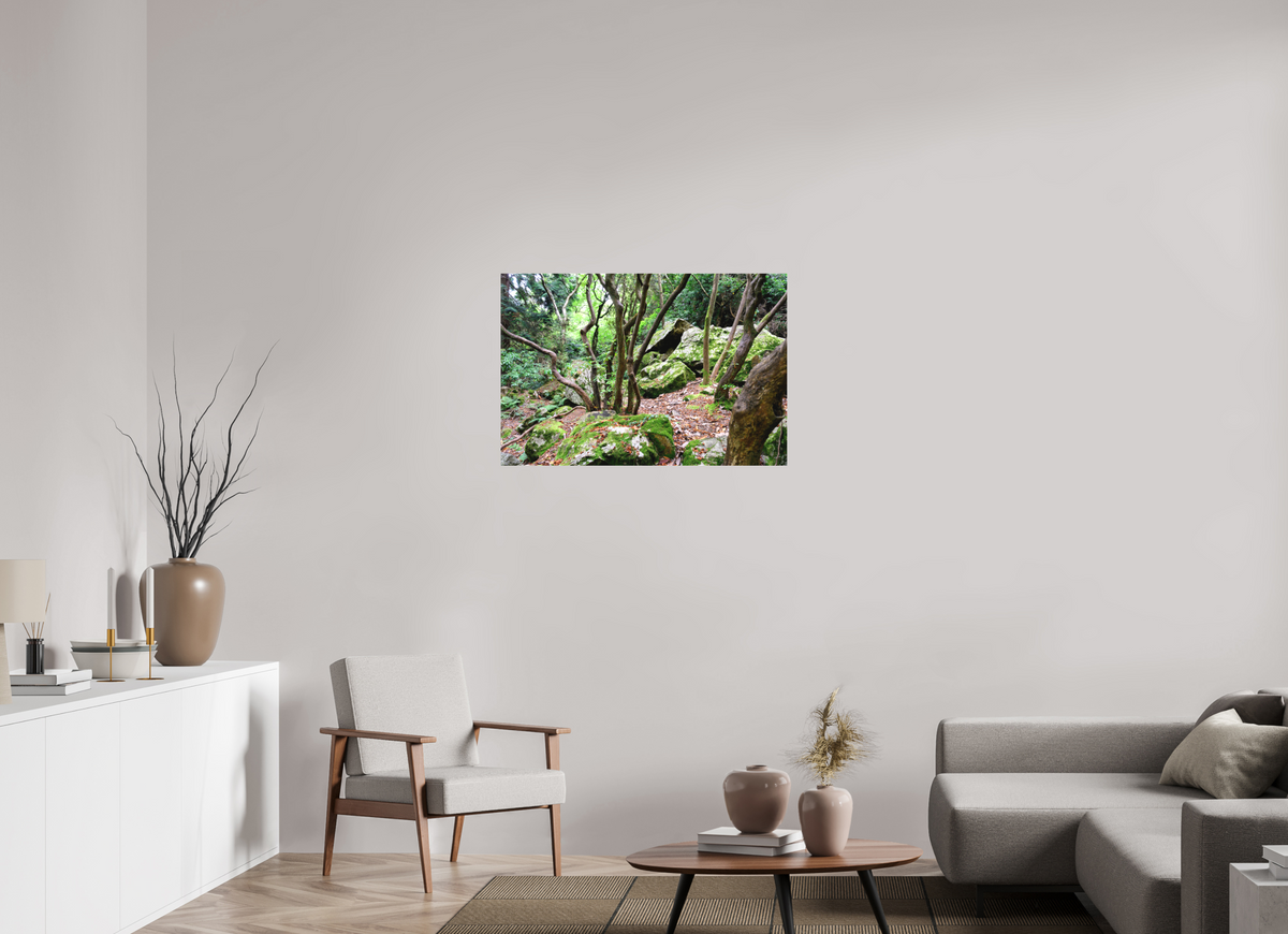 36 x 24″, Matte Canvas with wrapped edges - no frame Enchanted forest near Howth on canvas