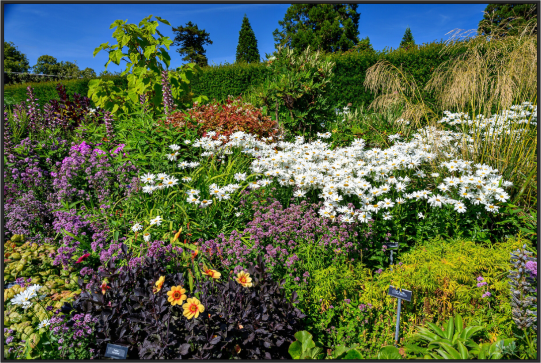 Main image Powerscourt Gardens A under acrylic glass with black frame