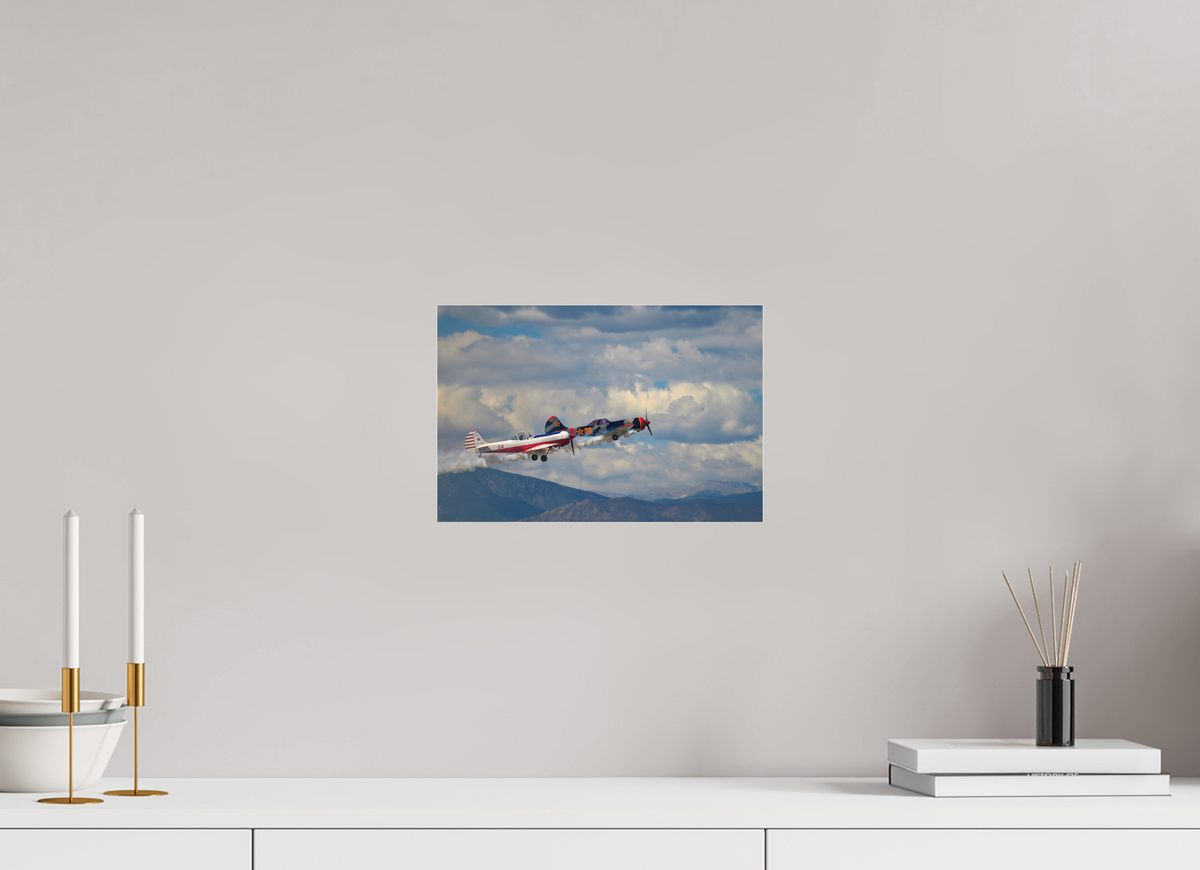 12 x 8″, Matte Acrylic Glass without frame Yak 50 - Photo 5 - under acrylic glass