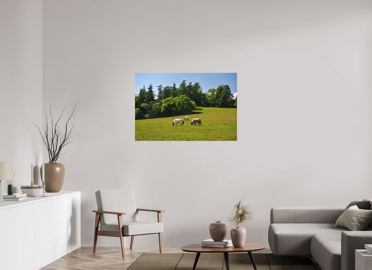 45 x 30″, Matte Acrylic Glass without frame Horses near Powerscourt Gardens under acrylic glass