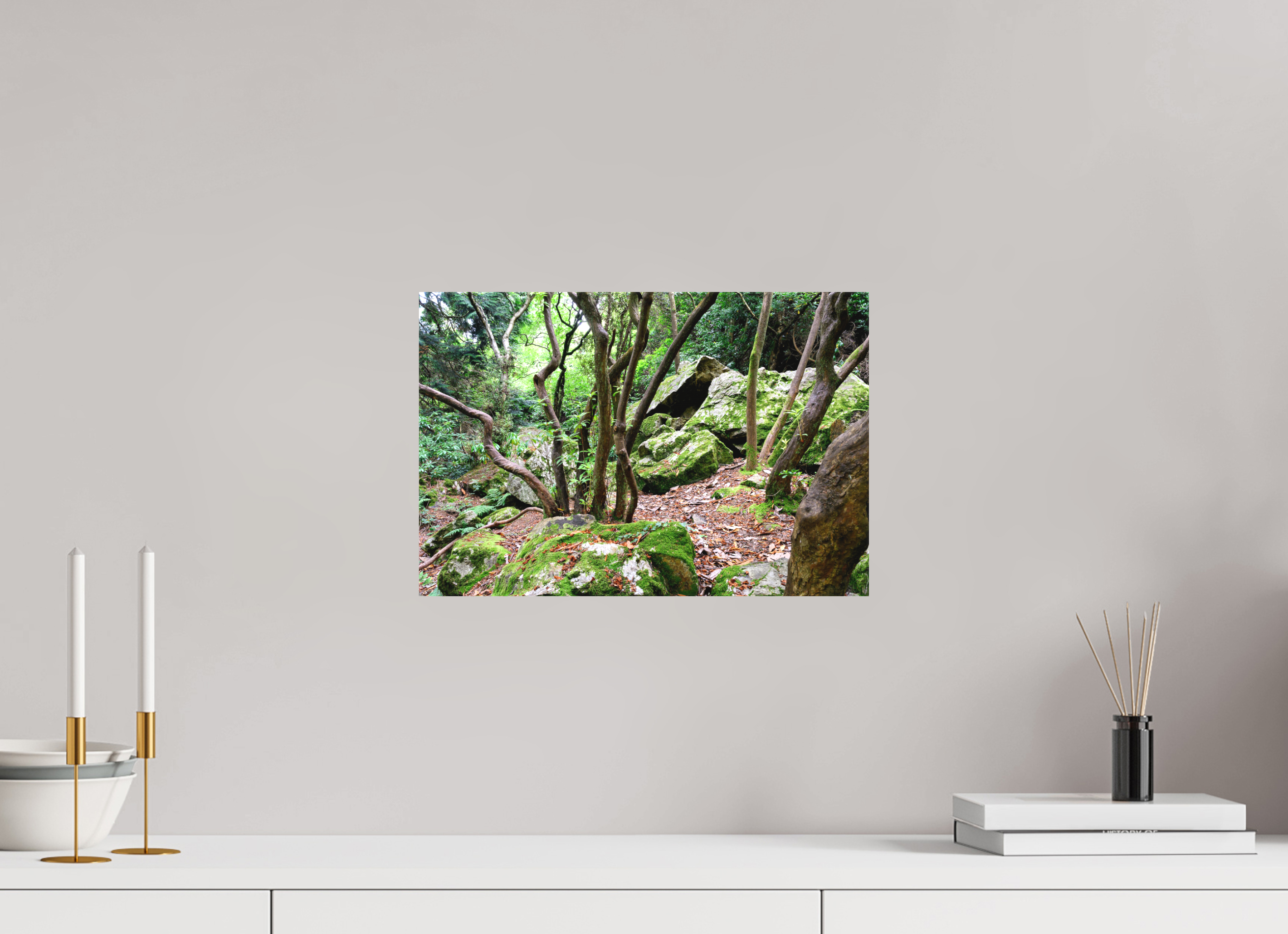 15 x 10″, Matte Canvas with wrapped edges - no frame Enchanted forest near Howth on canvas
