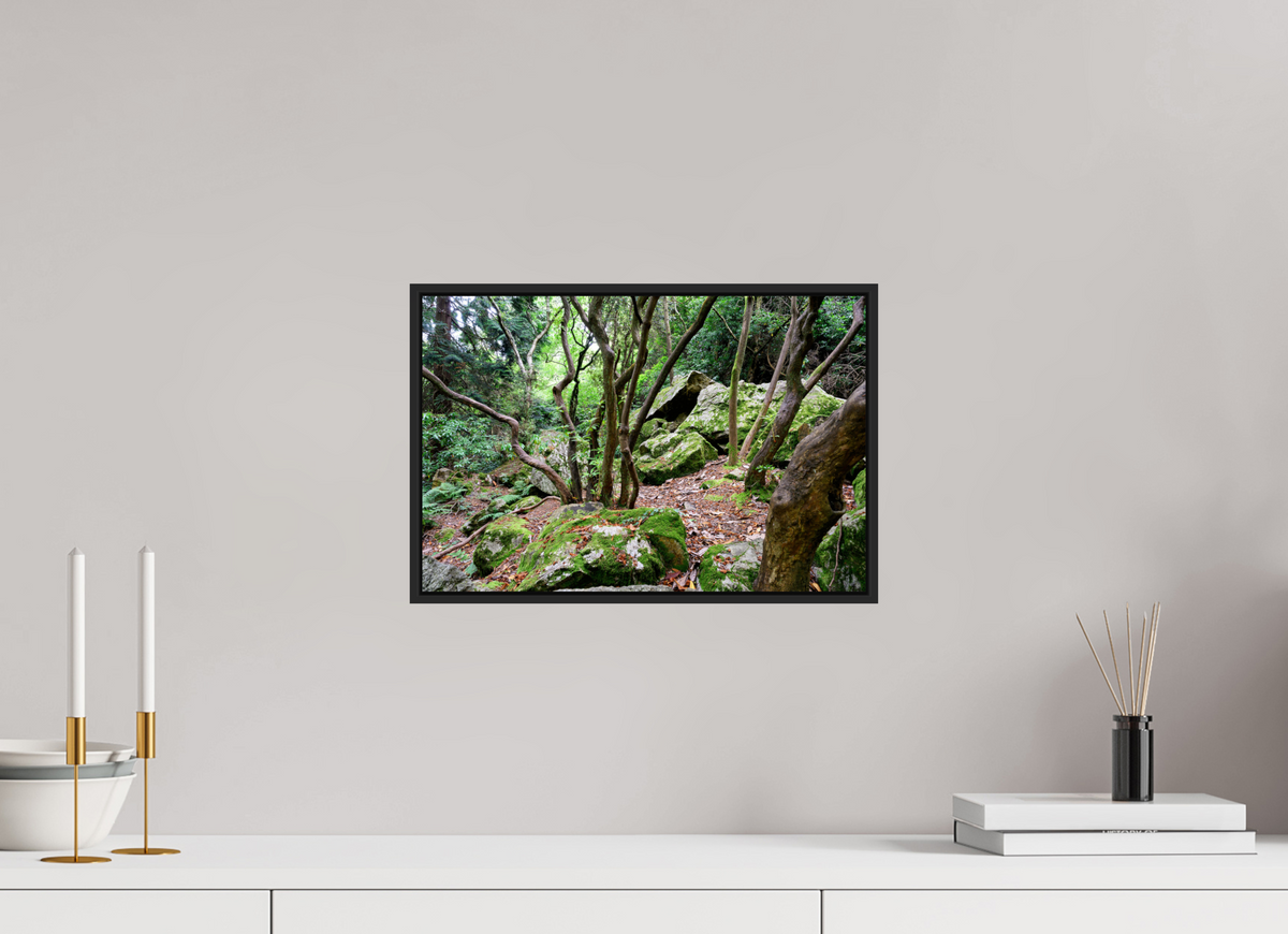15 x 10″, Acrylic Glass Black matt .24" frame Enchanted forest near Howth under acrylic glass with black frame