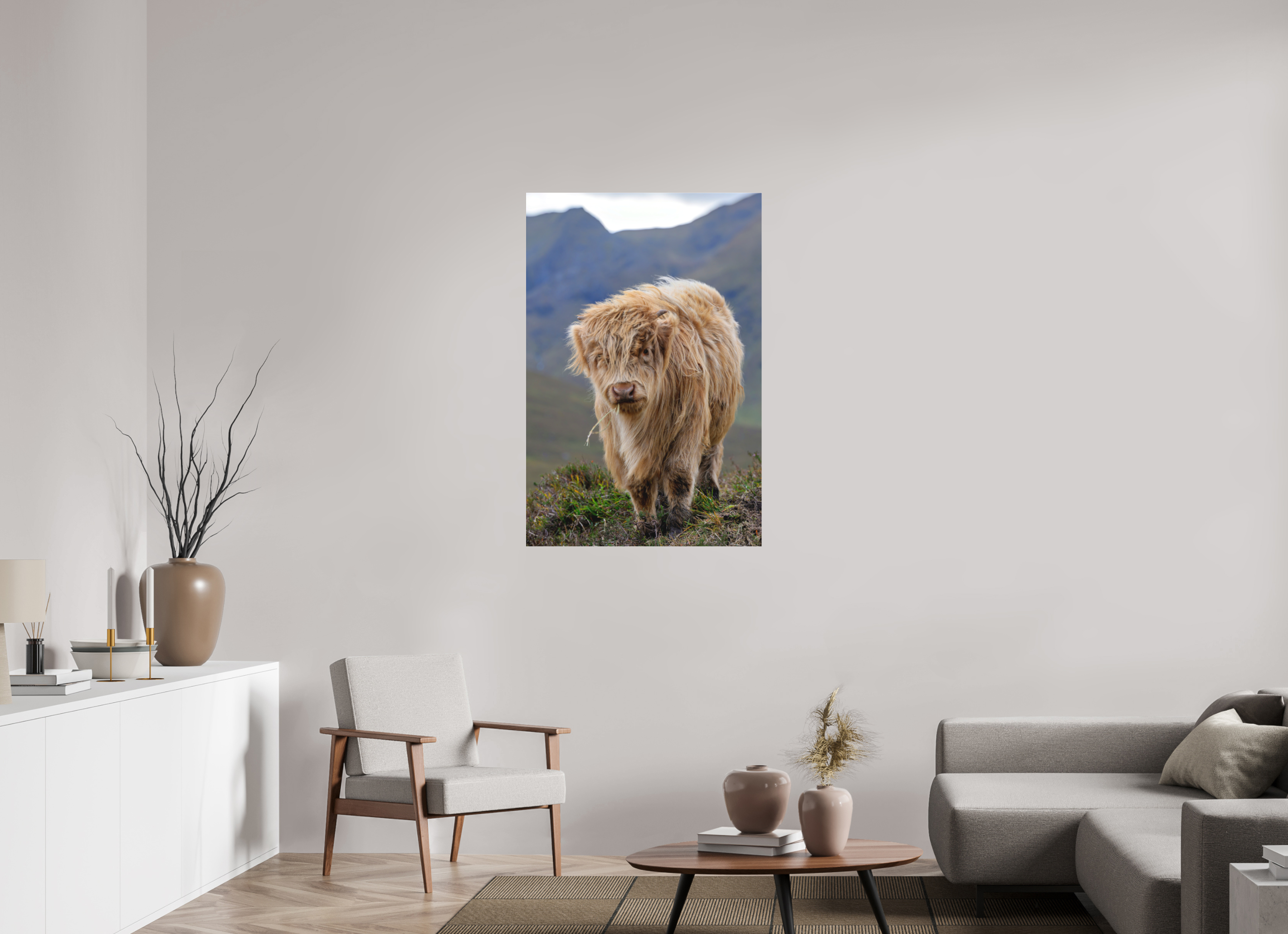 30 x 45″, Matte Acrylic Glass without frame Scottish Highland "Coo" on Matte Acrylic Glass without frame
