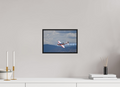 12 x 8″, Acrylic Glass Black matt .24" frame Yak 50 - Photo 6 - under acrylic glass with black frame