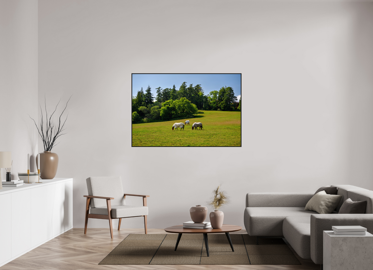 60 x 40″, Acrylic Glass Black matt .24" frame Horses near Powerscourt Gardens under acrylic glass with black frame