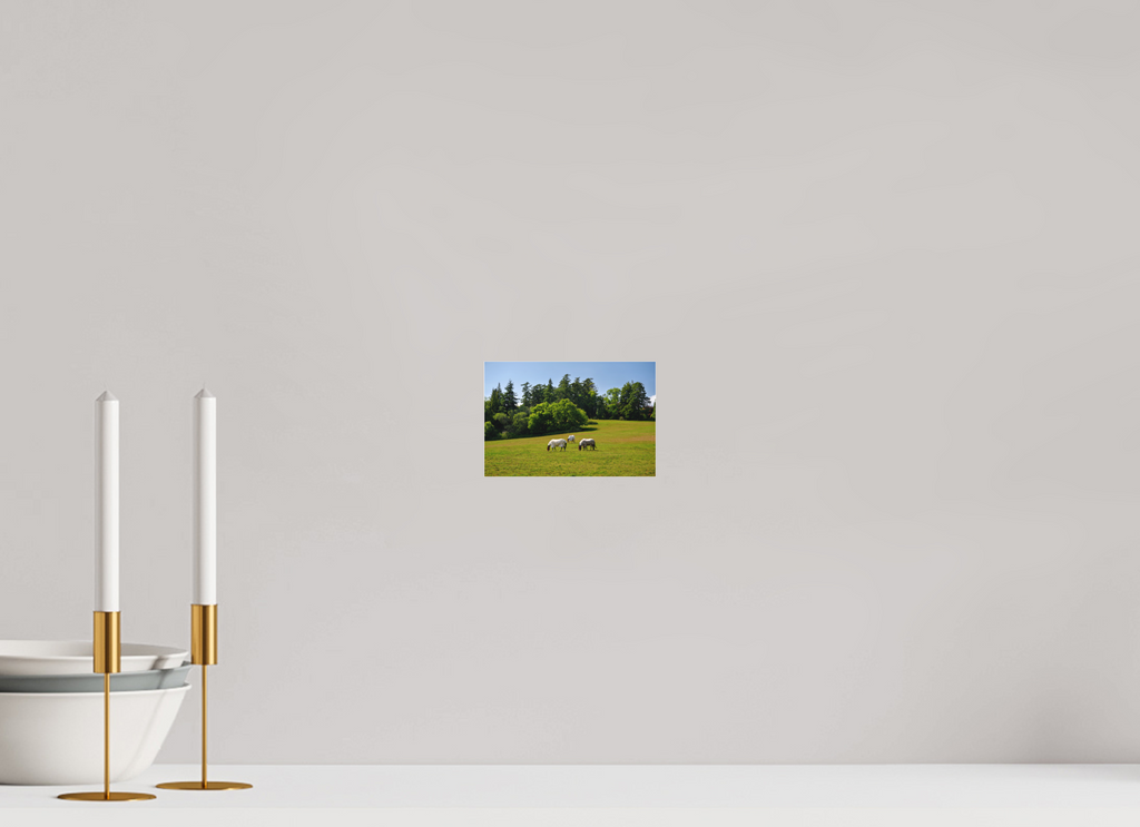 6 x 4″, Matte Acrylic Glass without frame Horses near Powerscourt Gardens under acrylic glass