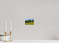 6 x 4″, Matte Acrylic Glass without frame Horses near Powerscourt Gardens under acrylic glass