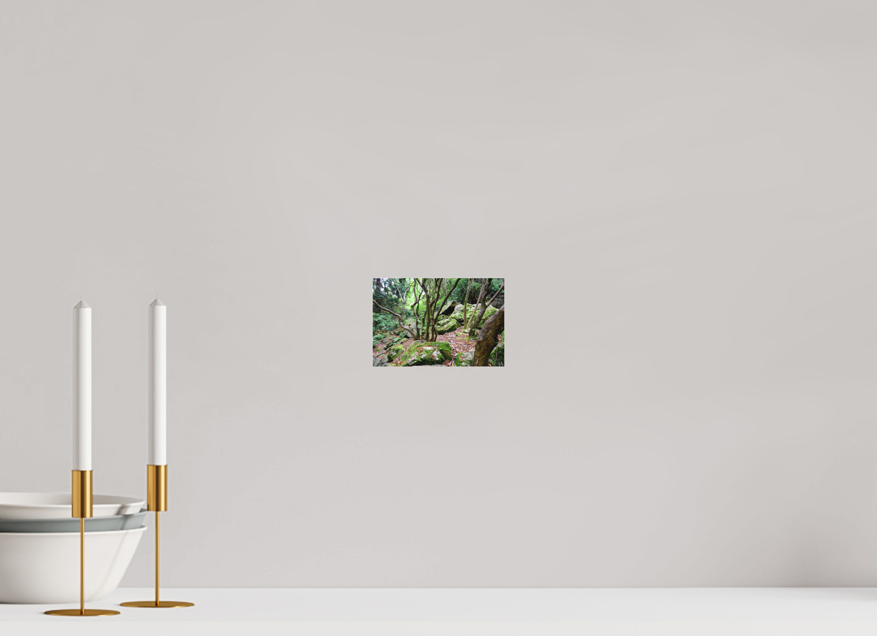 6 x 4″, Matte Acrylic Glass without frame Enchanted forest near Howth under acrylic glass