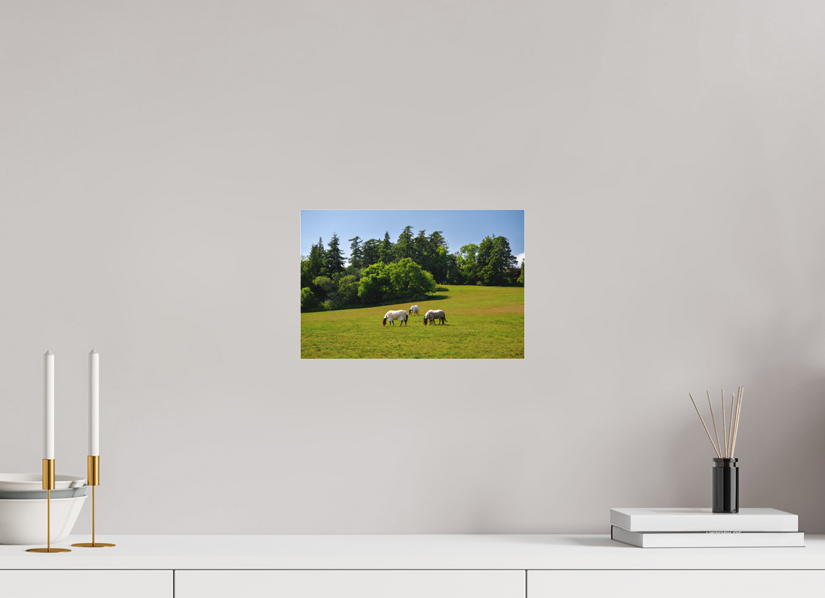 12 x 8″, Matte Acrylic Glass without frame Horses near Powerscourt Gardens under acrylic glass