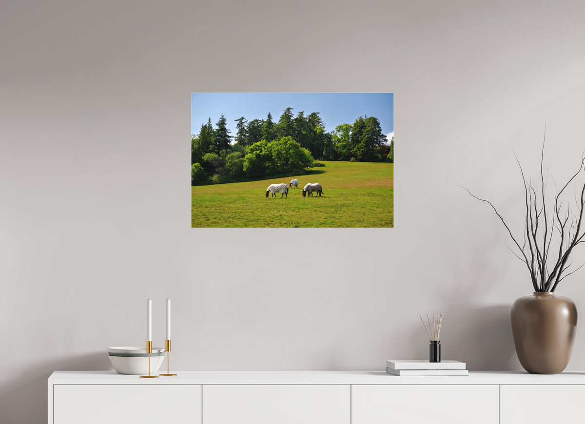 30 x 20″, Matte Acrylic Glass without frame Horses near Powerscourt Gardens under acrylic glass