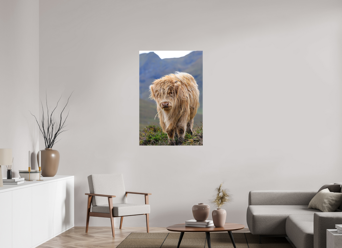 30 x 45″, Matte Canvas with wrapped edges - no frame Scottish Highland "Coo" on Canvas