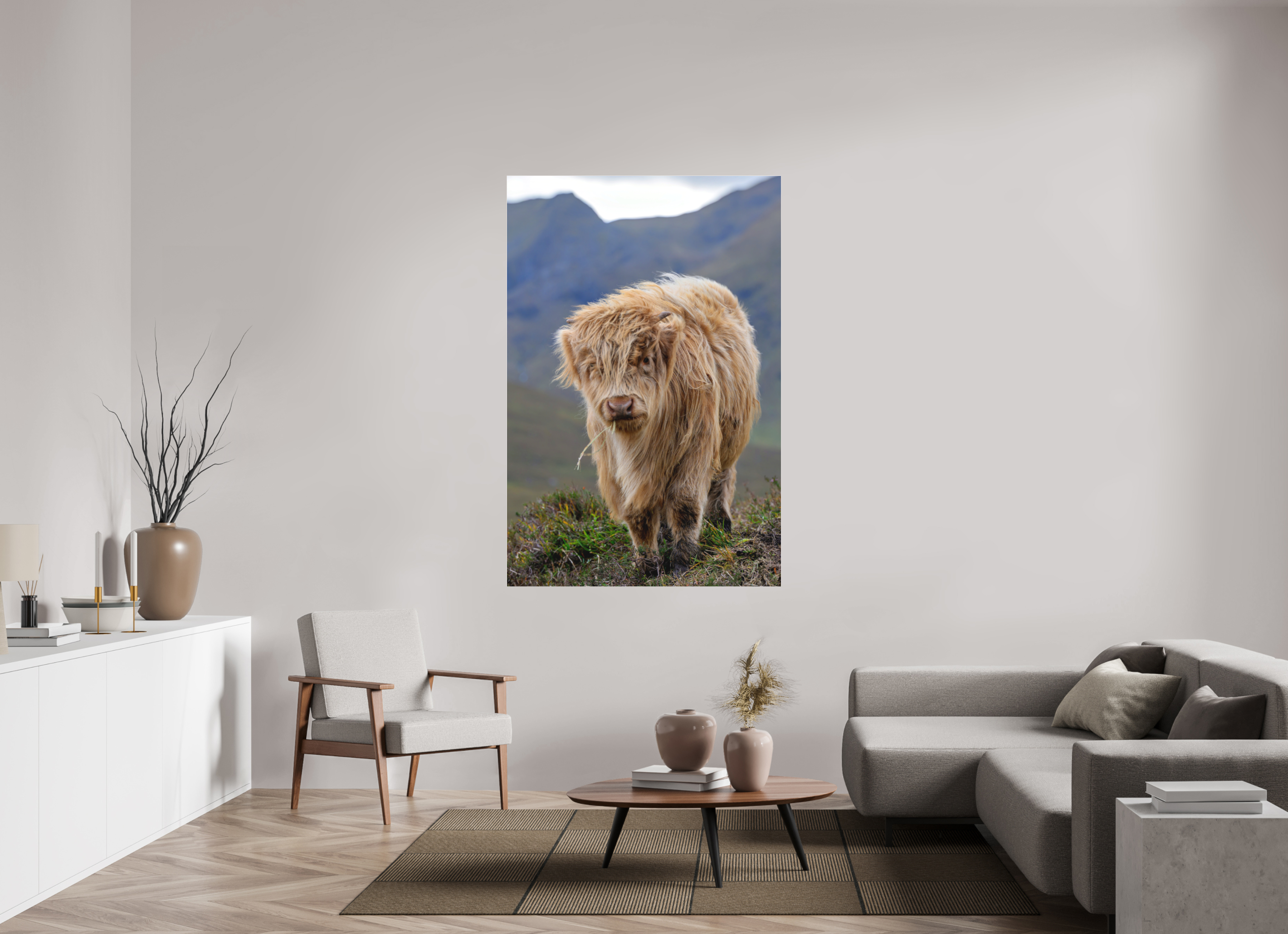 44 x 66″, Matte Acrylic Glass without frame Scottish Highland "Coo" on Matte Acrylic Glass without frame