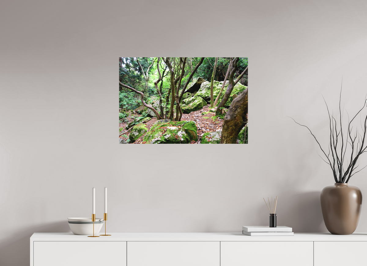 30 x 20″, Matte Canvas with wrapped edges - no frame Enchanted forest near Howth on canvas