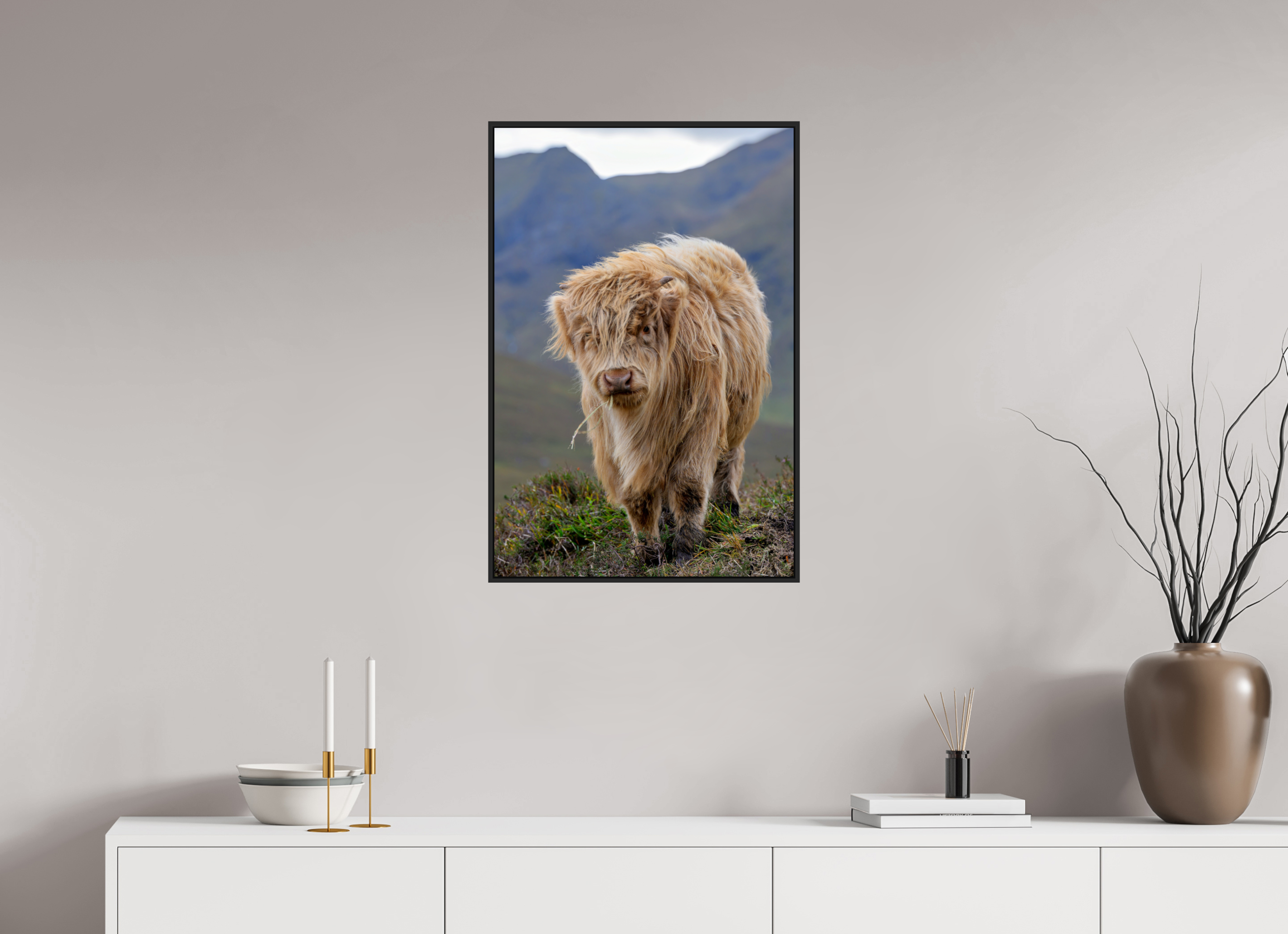 20 x 30″, Acrylic Glass Black Matt .24" frame Scottish Highland "Coo" under acrylic glass with black frame