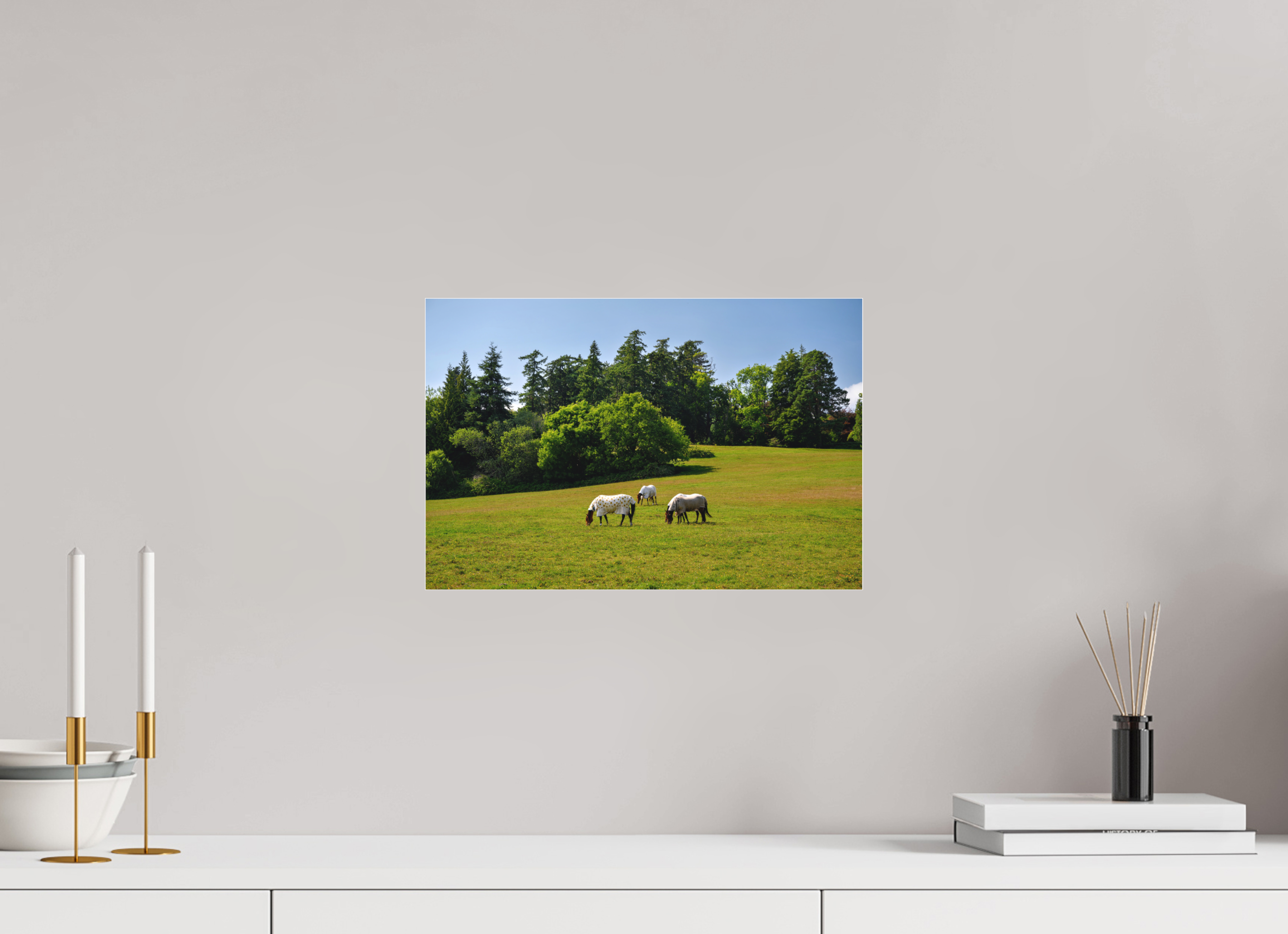 15 x 10″, Matte Acrylic Glass without frame Horses near Powerscourt Gardens under acrylic glass