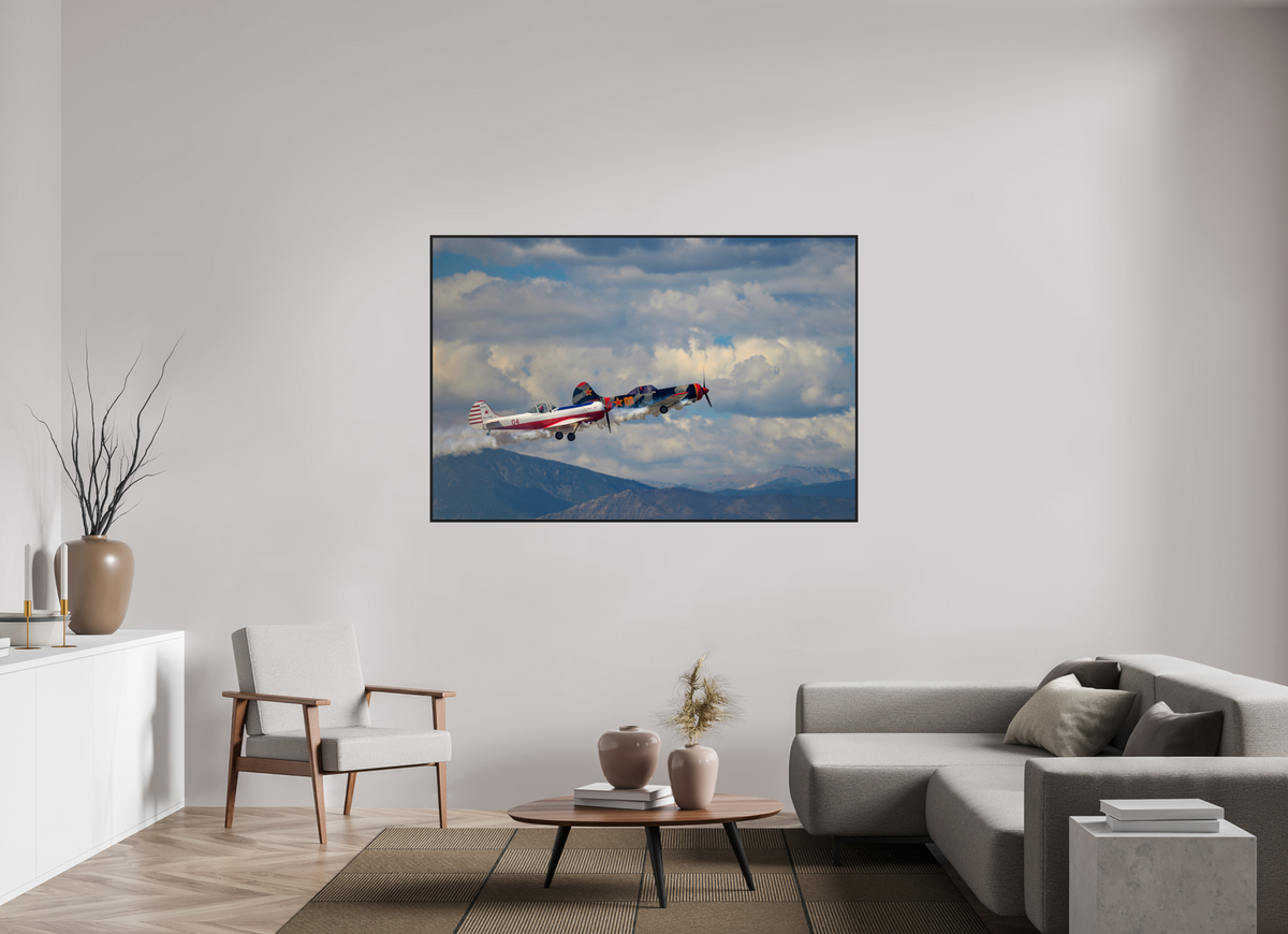 66 x 44″, Acrylic Glass Black matt .24" frame Yak 50 - Photo 5 - under acrylic glass with black frame