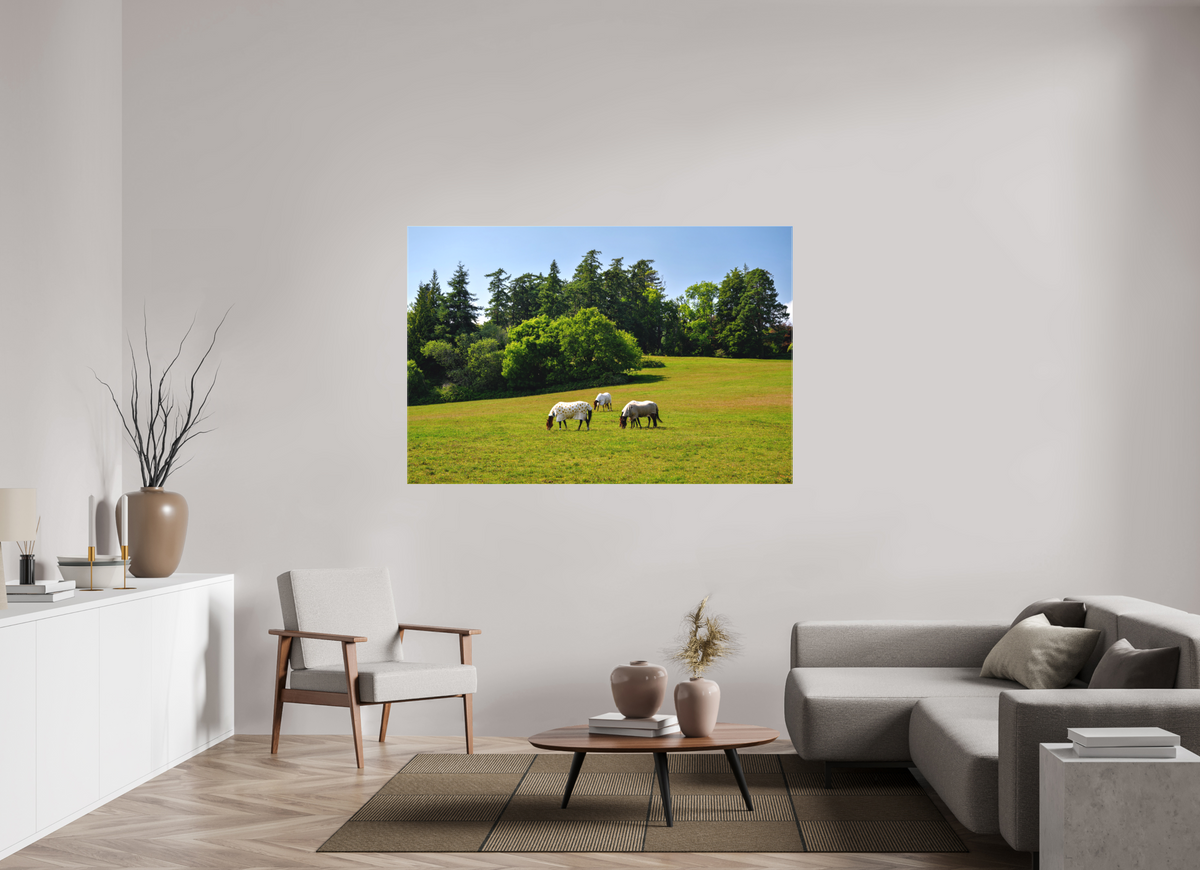 66 x 44″, Matte Canvas with wrapped edges - no frame Horses near Powerscourt Gardens on canvas