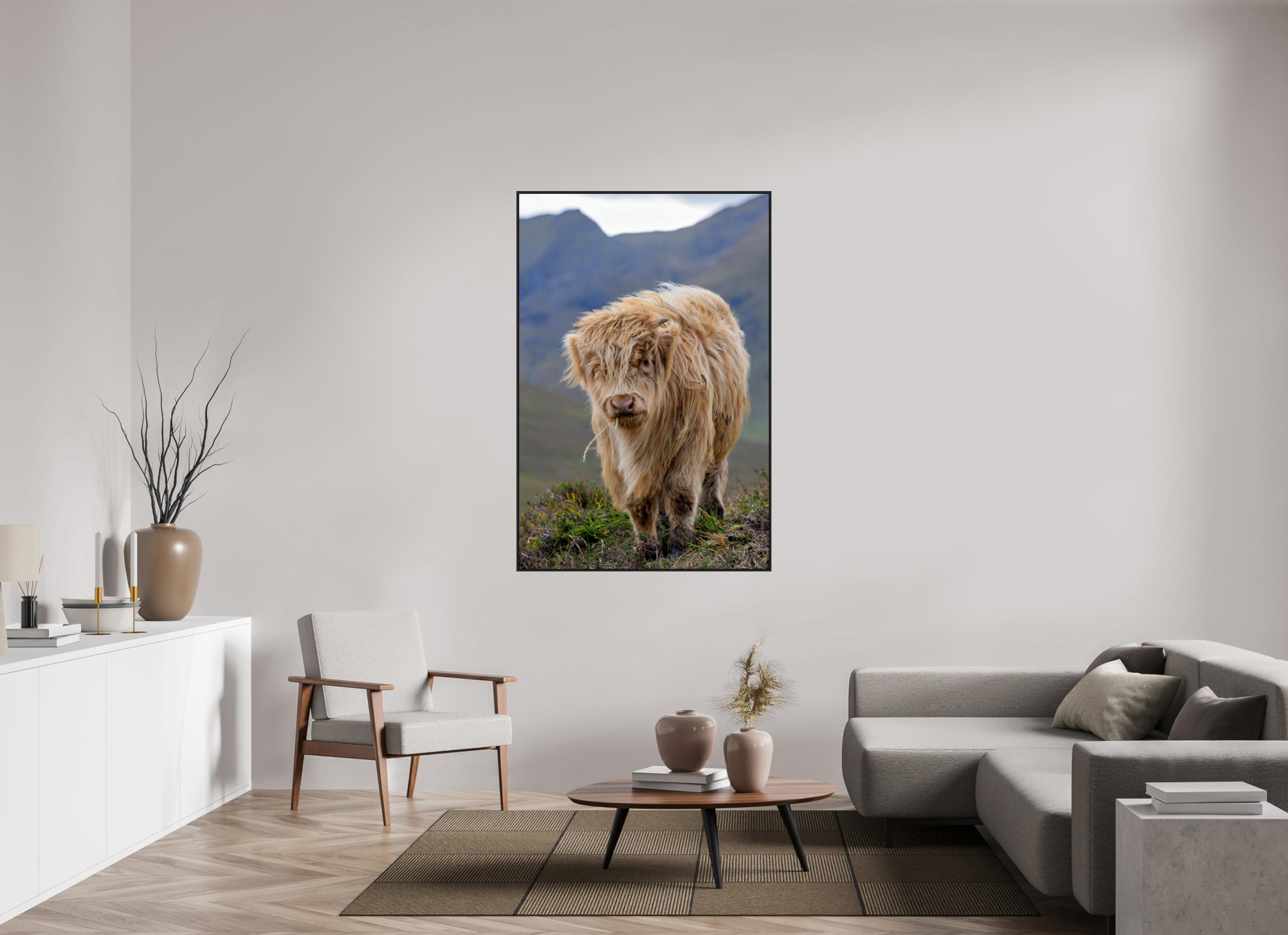 40 x 60″, Acrylic Glass Black Matt .24" frame Scottish Highland "Coo" under acrylic glass with black frame
