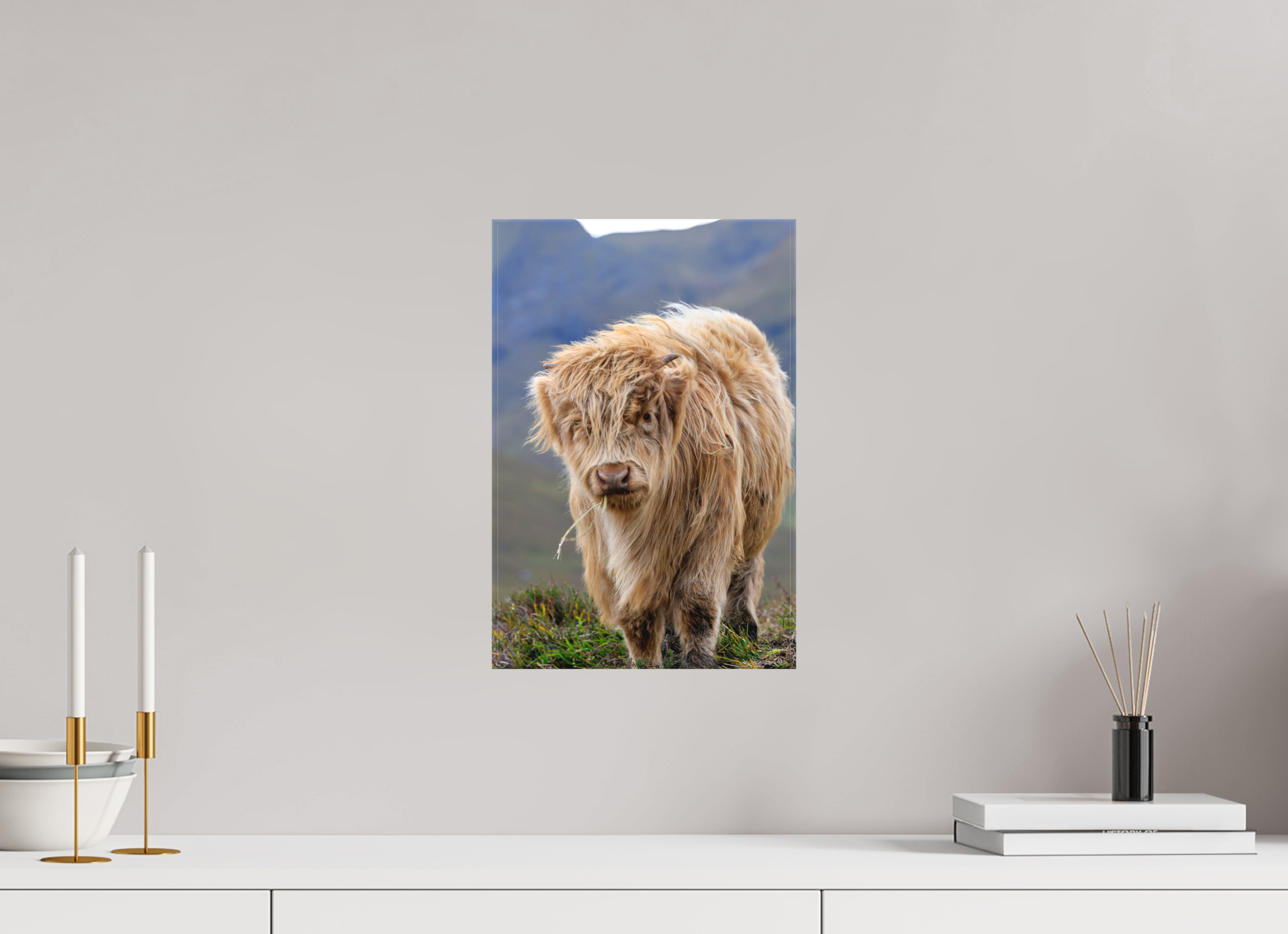 10 x 15″, Matte Canvas with wrapped edges - no frame Scottish Highland "Coo" on Canvas