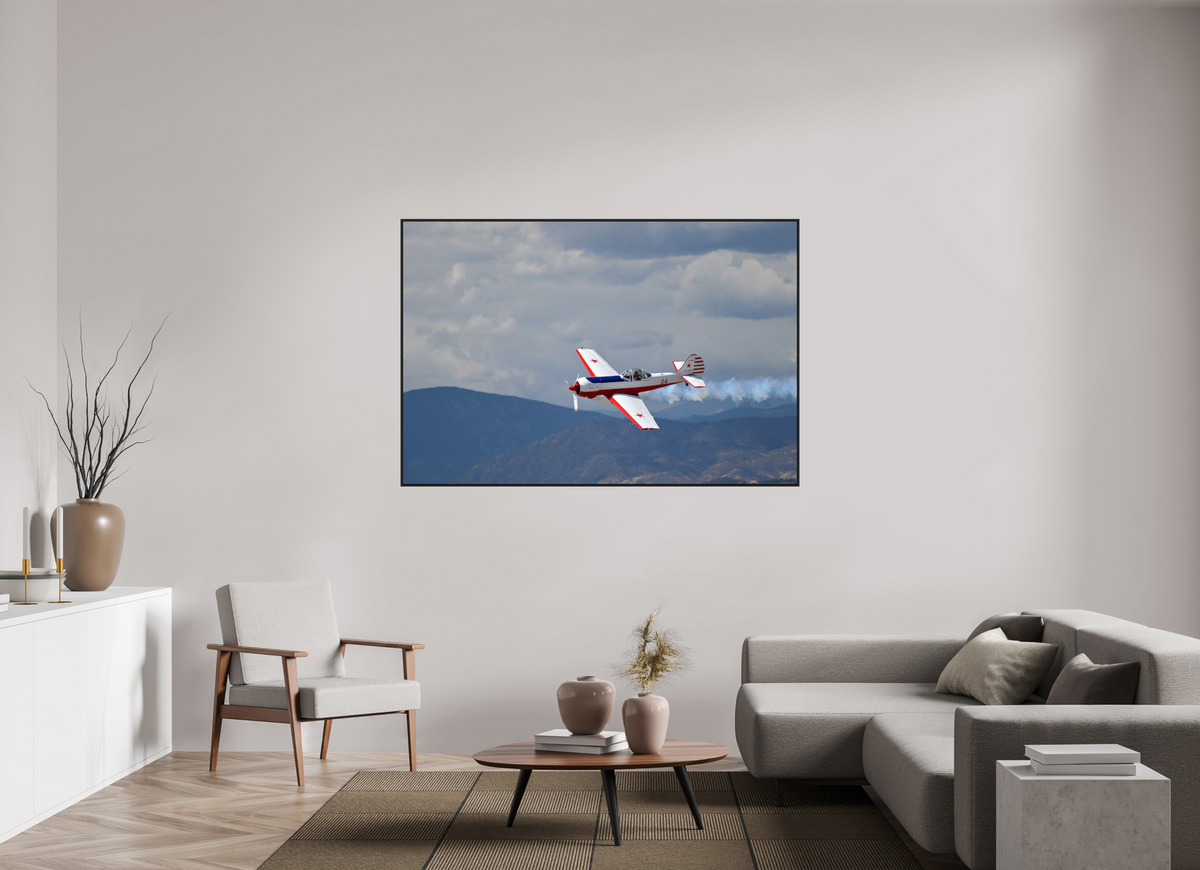 66 x 44″, Acrylic Glass Black matt .24" frame Yak 50 - Photo 6 - under acrylic glass with black frame