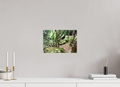 12 x 8″, Matte Canvas with wrapped edges - no frame Enchanted forest near Howth on canvas