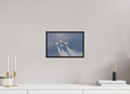 12 x 8″, Acrylic Glass Black matt .24" frame F16 Thunderbirds Photo 11 under acrylic glass with black frame
