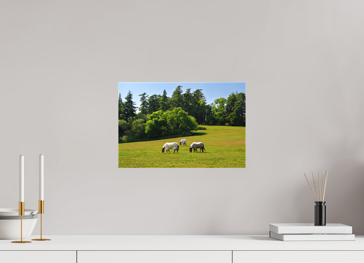 15 x 10″, Matte Canvas with wrapped edges - no frame Horses near Powerscourt Gardens on canvas